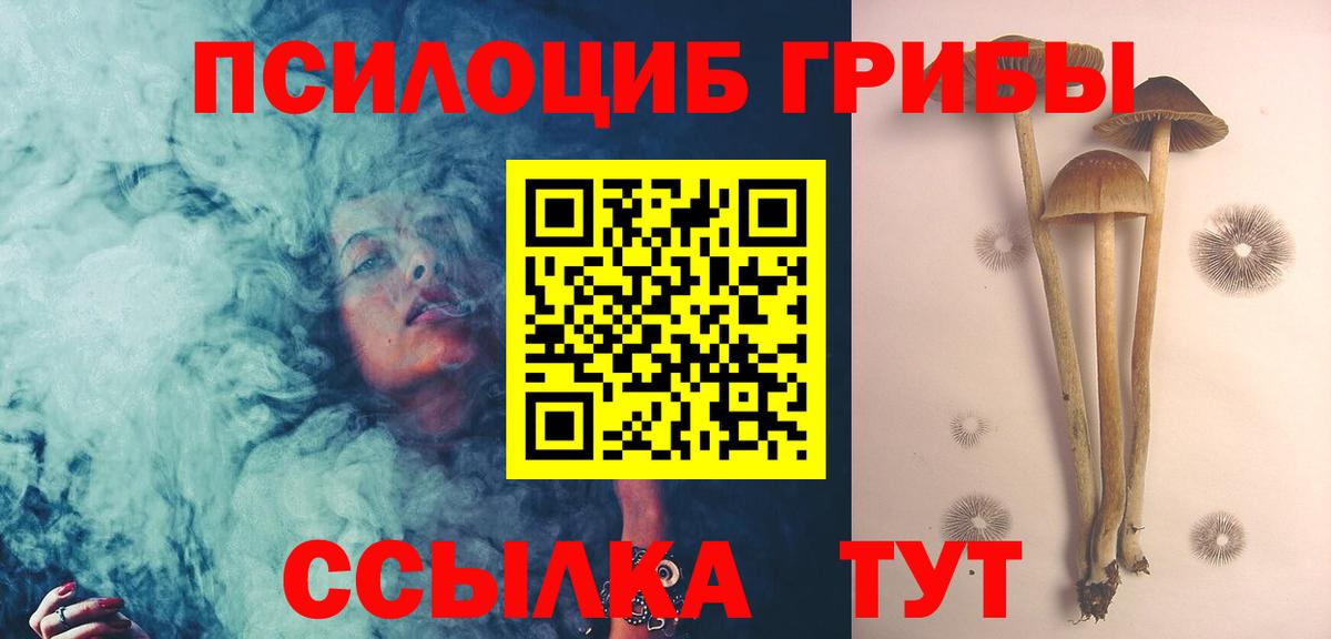 Галлюциногенные грибы Cubensis  Вход с VPN  Псилоцибиновые грибы Psilocybine cubensis  Каменка 